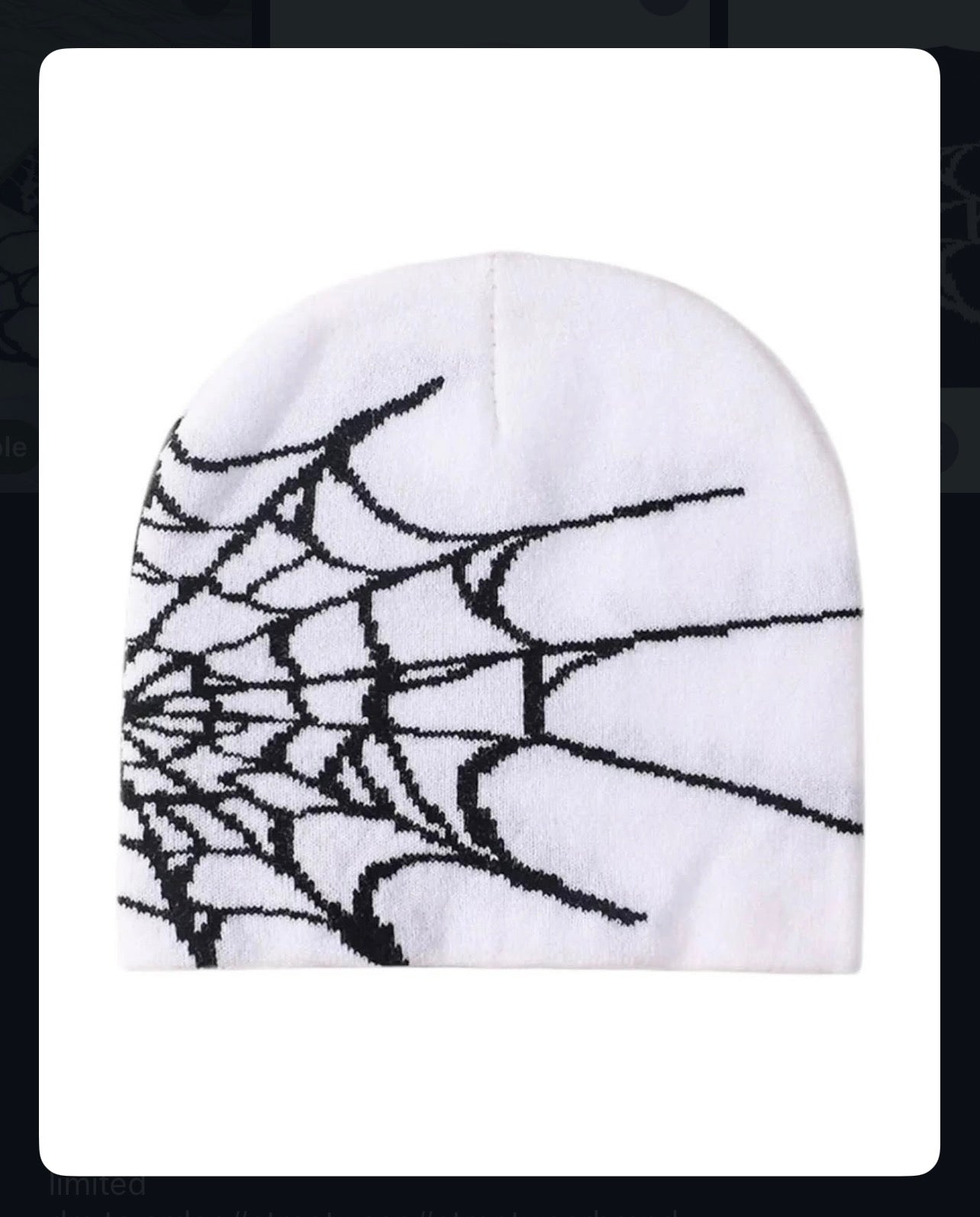 American-Style Spider Beanie